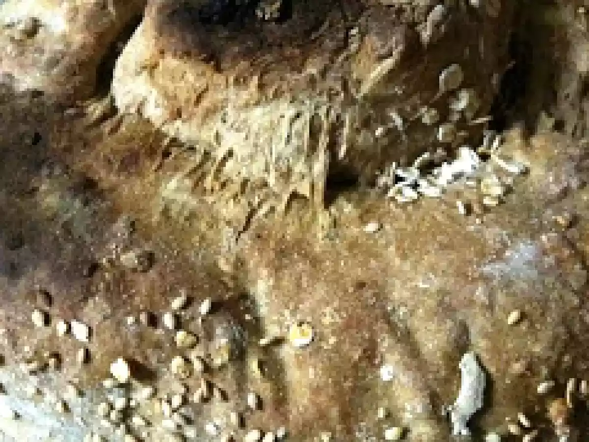 Pão de Aveia - foto 2