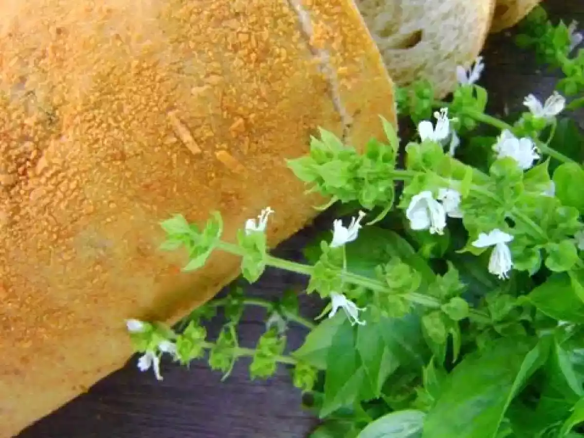 PÃO DE MANJERICÃO E PARMESÃO - PÃES ARTESANAIS
