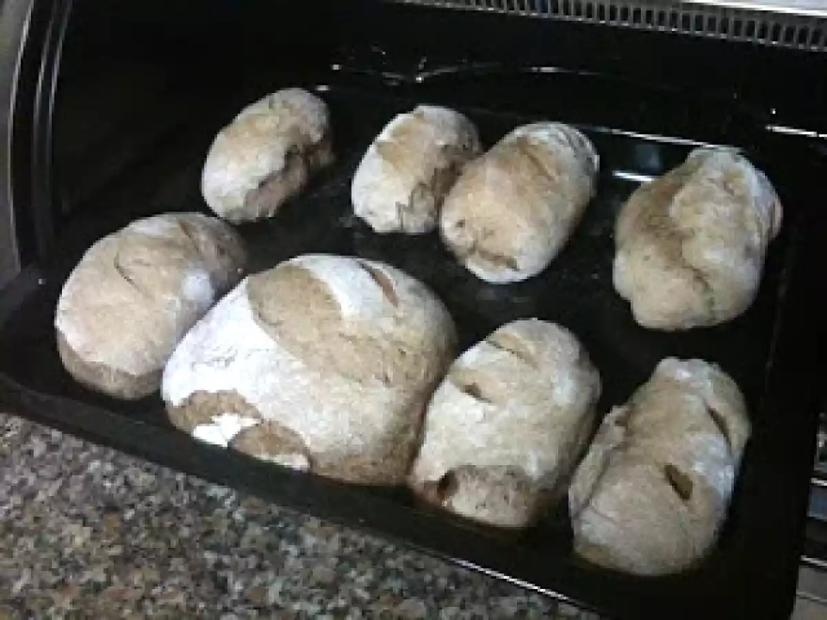 Pão Integral com Chouriço - foto 5