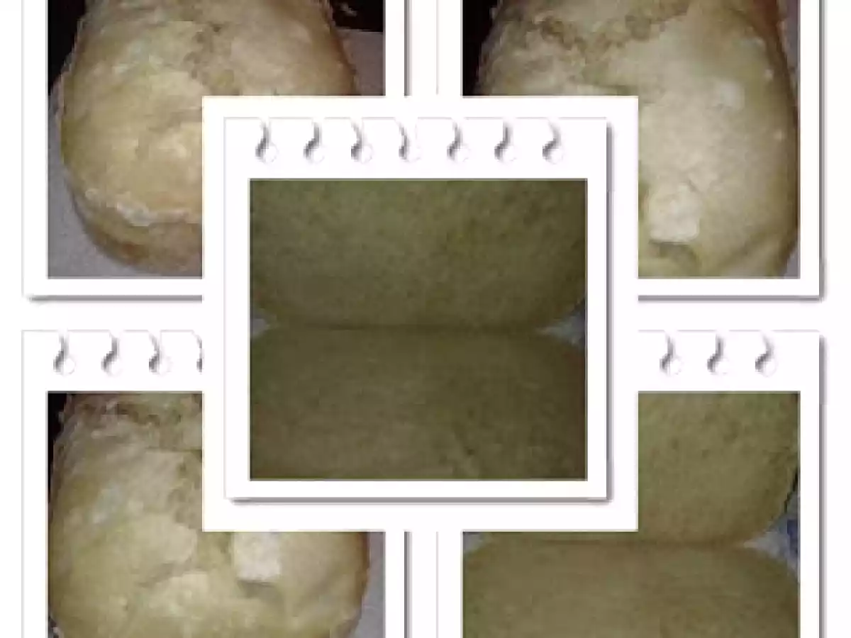 Pão Saloio