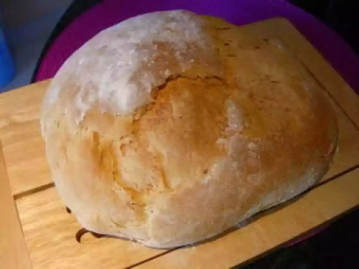 Pão saloio fofíssimo
