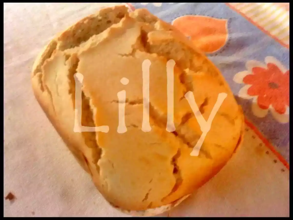 PÃO ULTRA-RÁPIDO