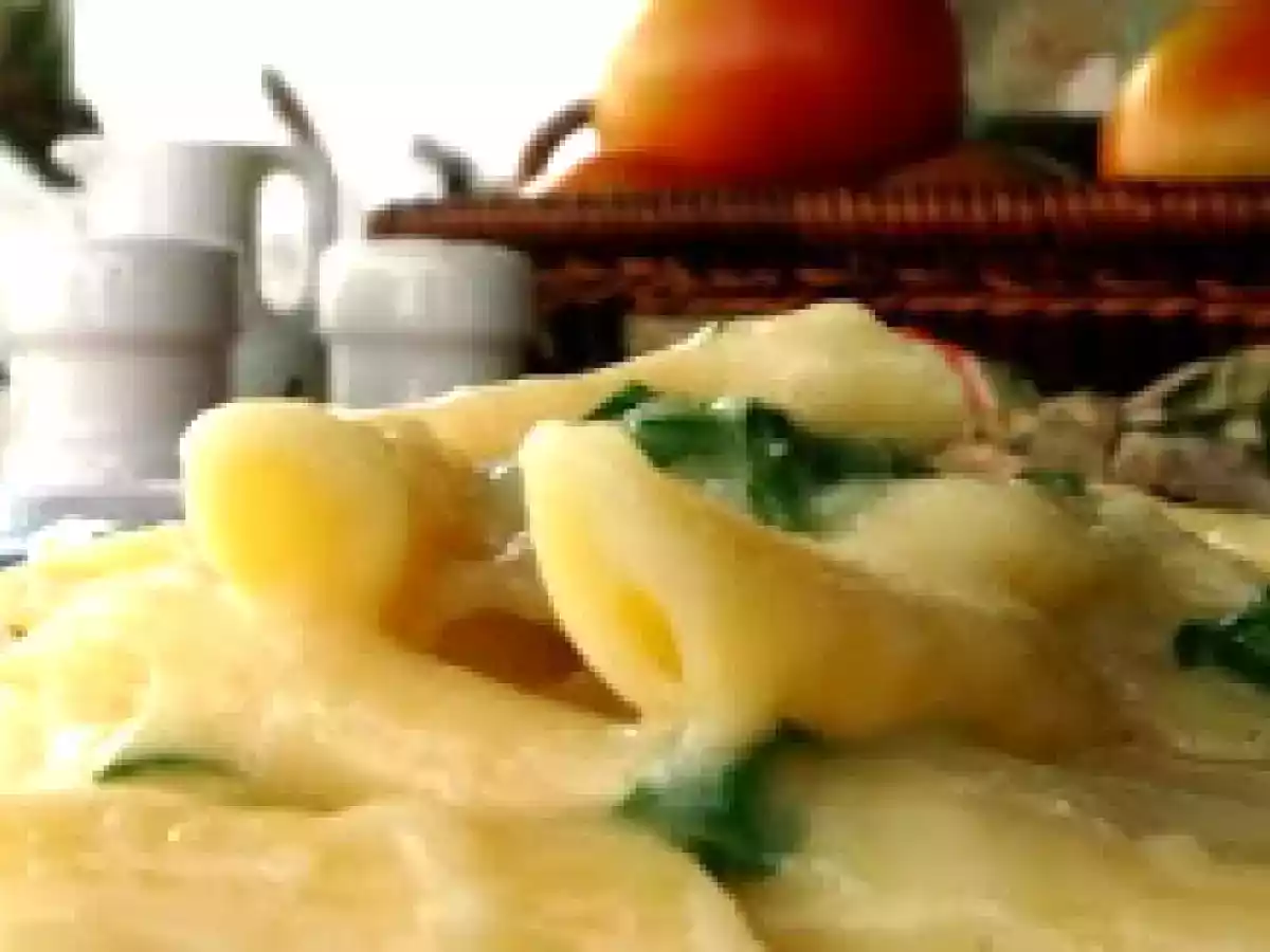 Penne ao creme de espinafre com queijo