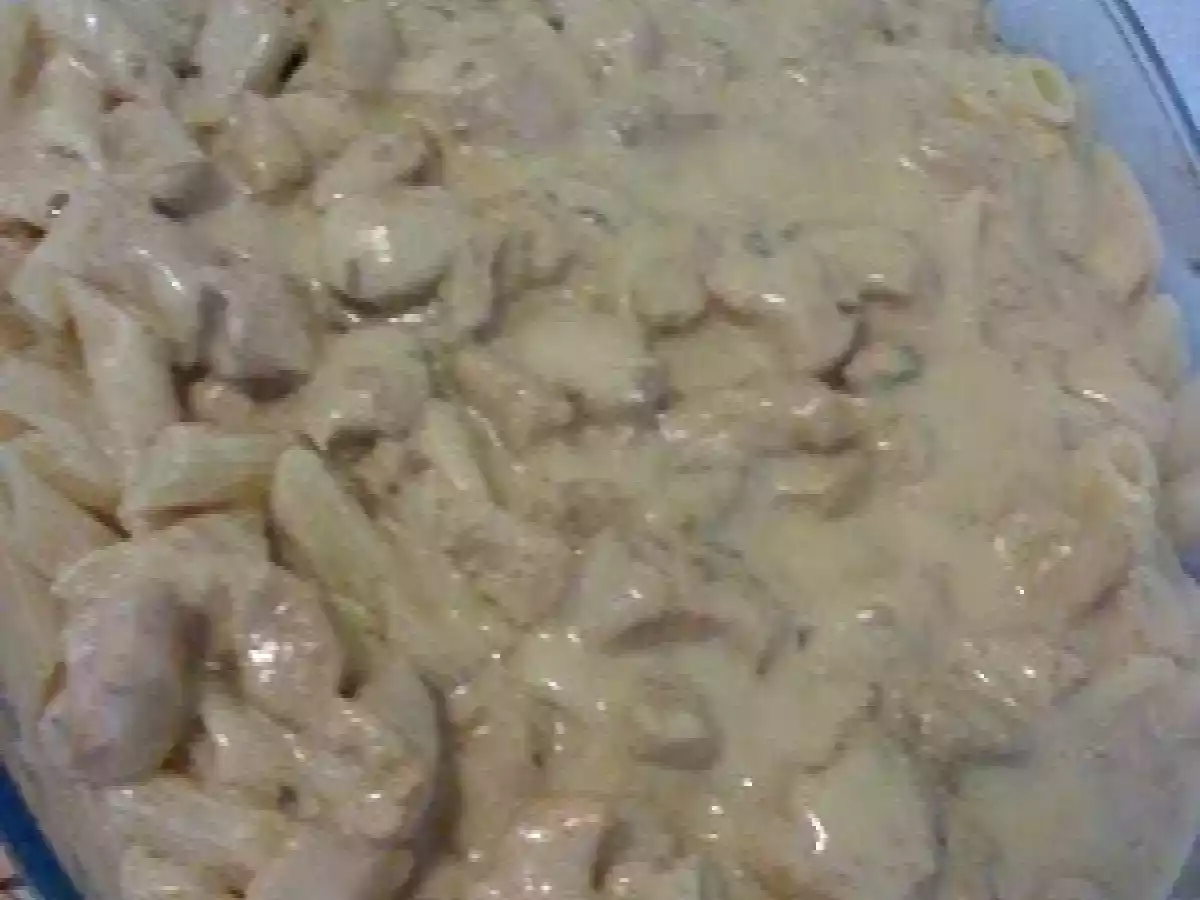 Penne com Frango ao Molho Branco!!!!
