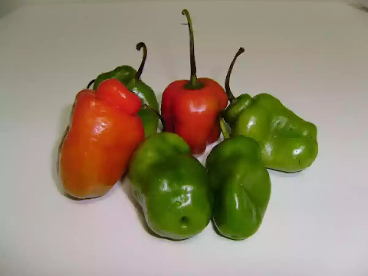 Pimentas Recheadas - Rocoto Relleno - foto 2
