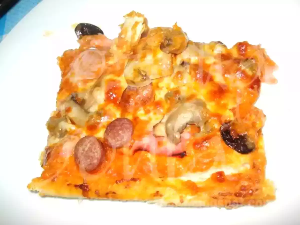 PIZZA CASEIRA DE SALSICHAS, FIAMBRE, COGUMELOS, AZEITONAS E MOZZARELLA... - foto 10