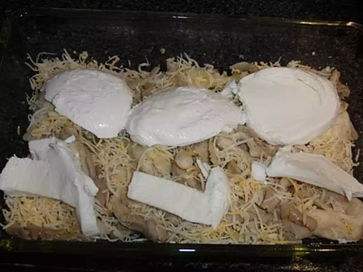 Pleurotus gratinados - foto 2