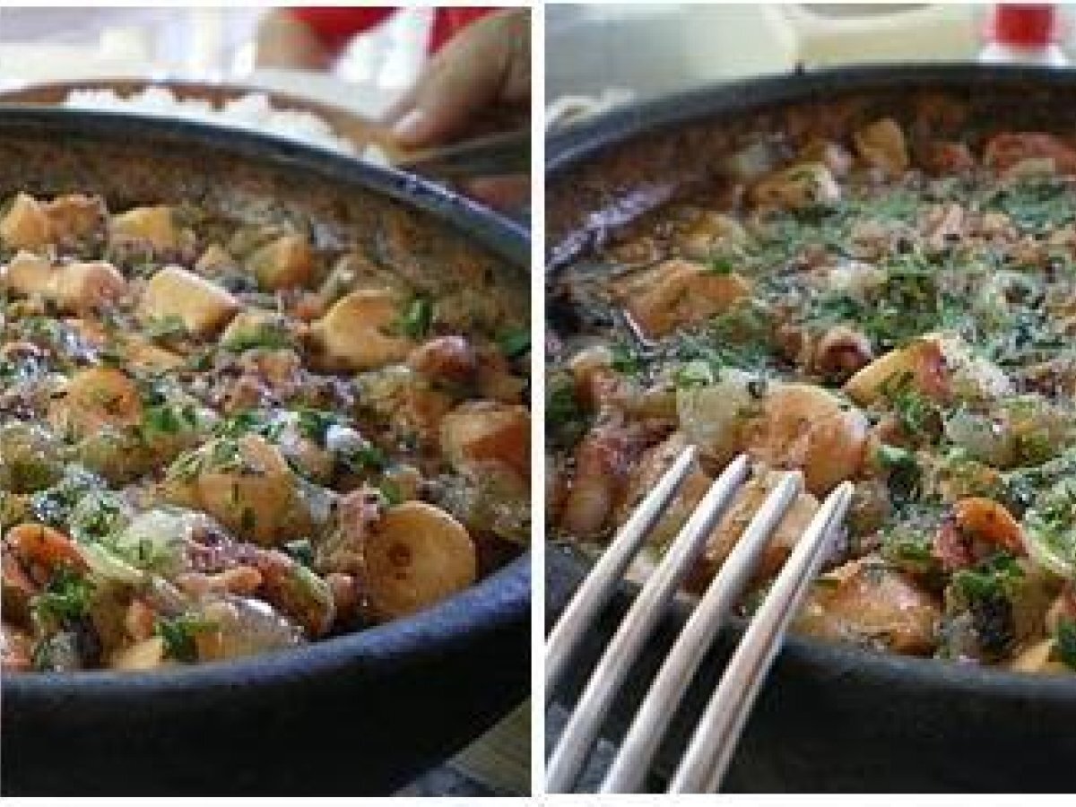 Polvo Açoriano