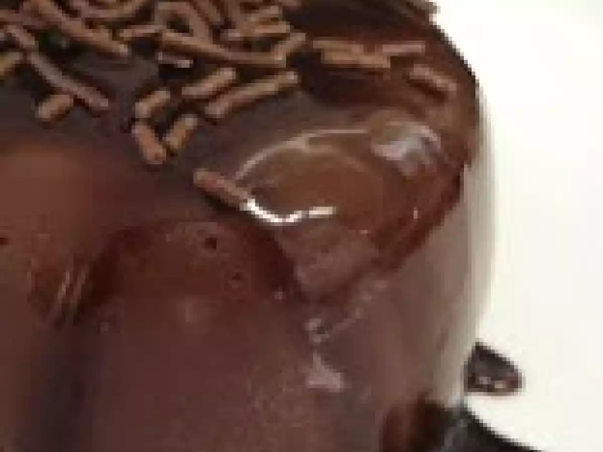 Pudim de Chocolate (vegana)