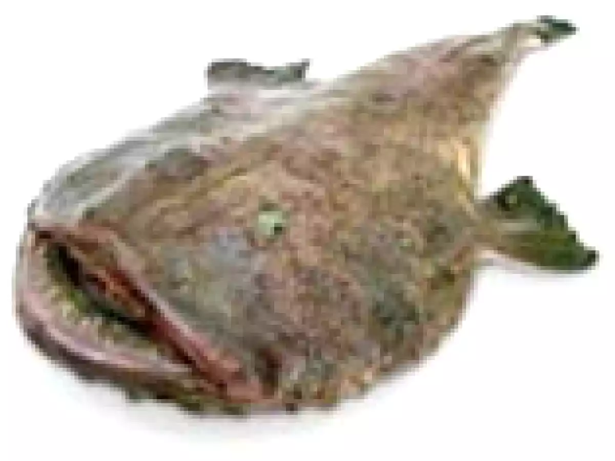 Rape a la Marinera - foto 2