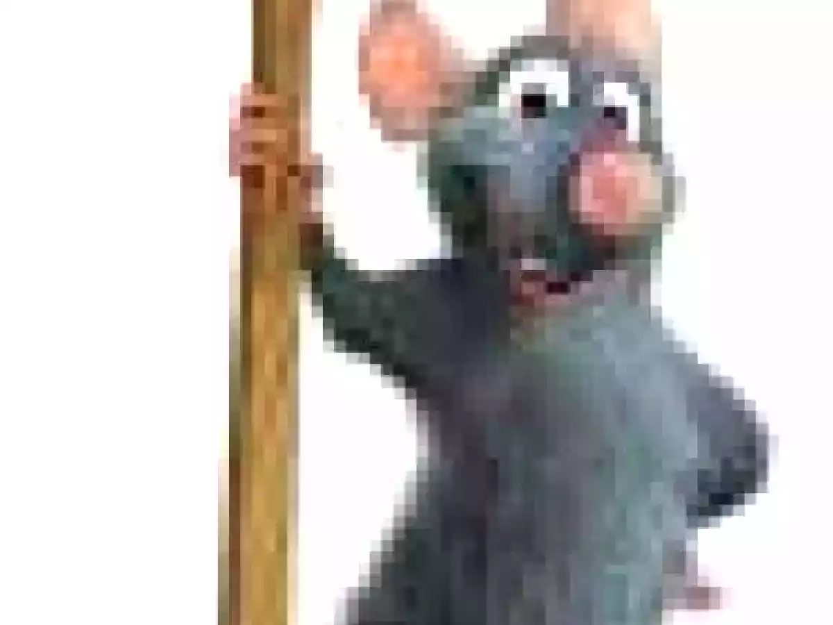 RATATOUILLE - foto 2