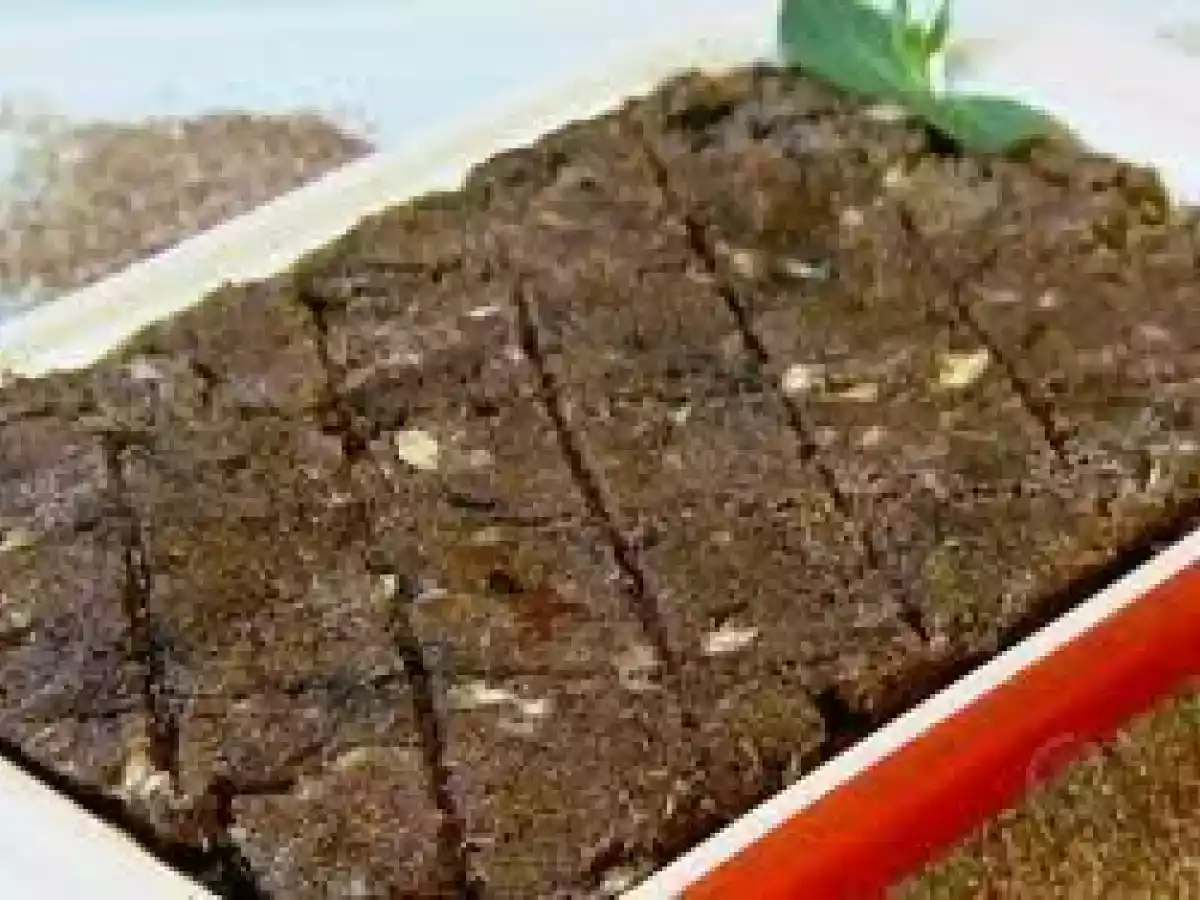 Receita de Kibe de Mortadela (Comida Típica Árabe)