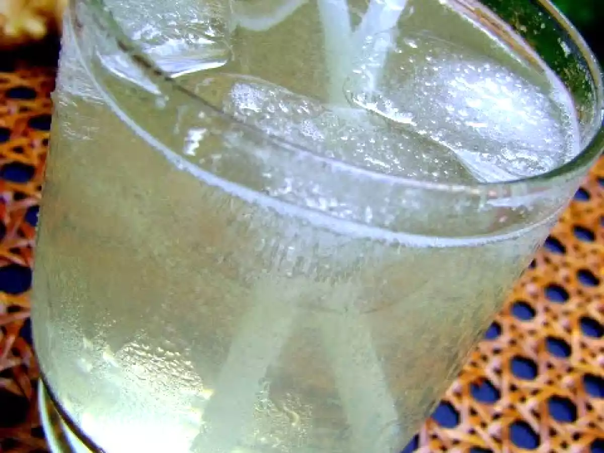 REFRESCO DE GENGIBRE - foto 2