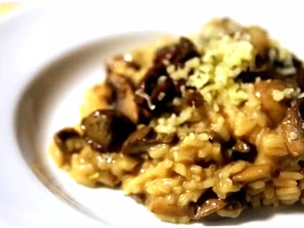 Risotto com cogumelos e queijo (Receita da Semana)