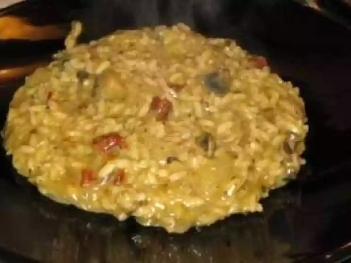 RISOTTO DE SETAS E TOMATE SECO