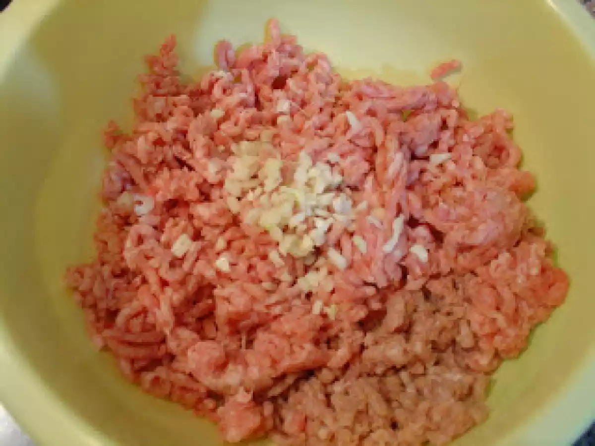 Rolo de carne caseiro - parte I - foto 2