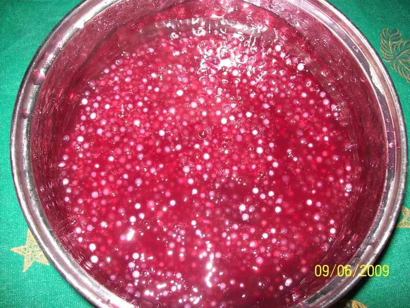 Sagu de vinho (érica)