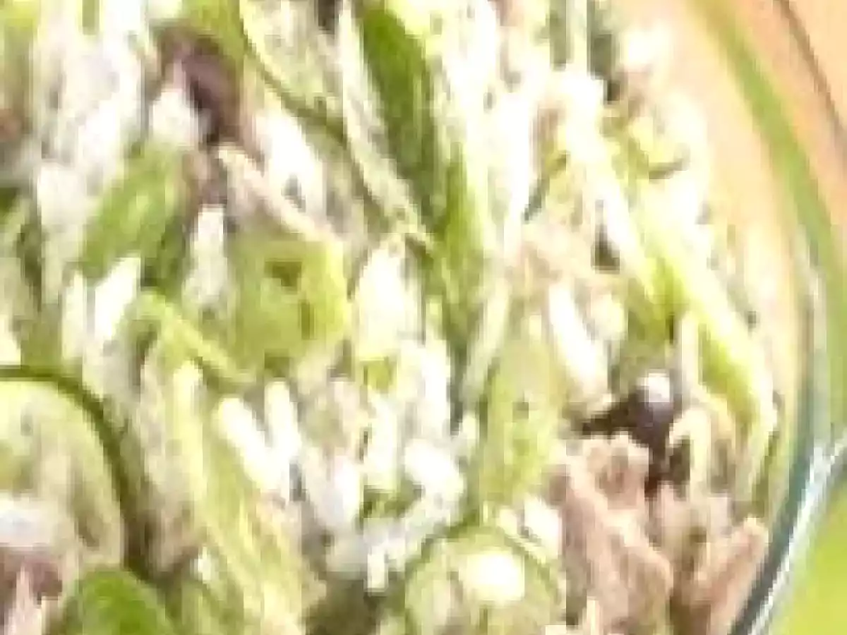 Salada de arroz com pepino