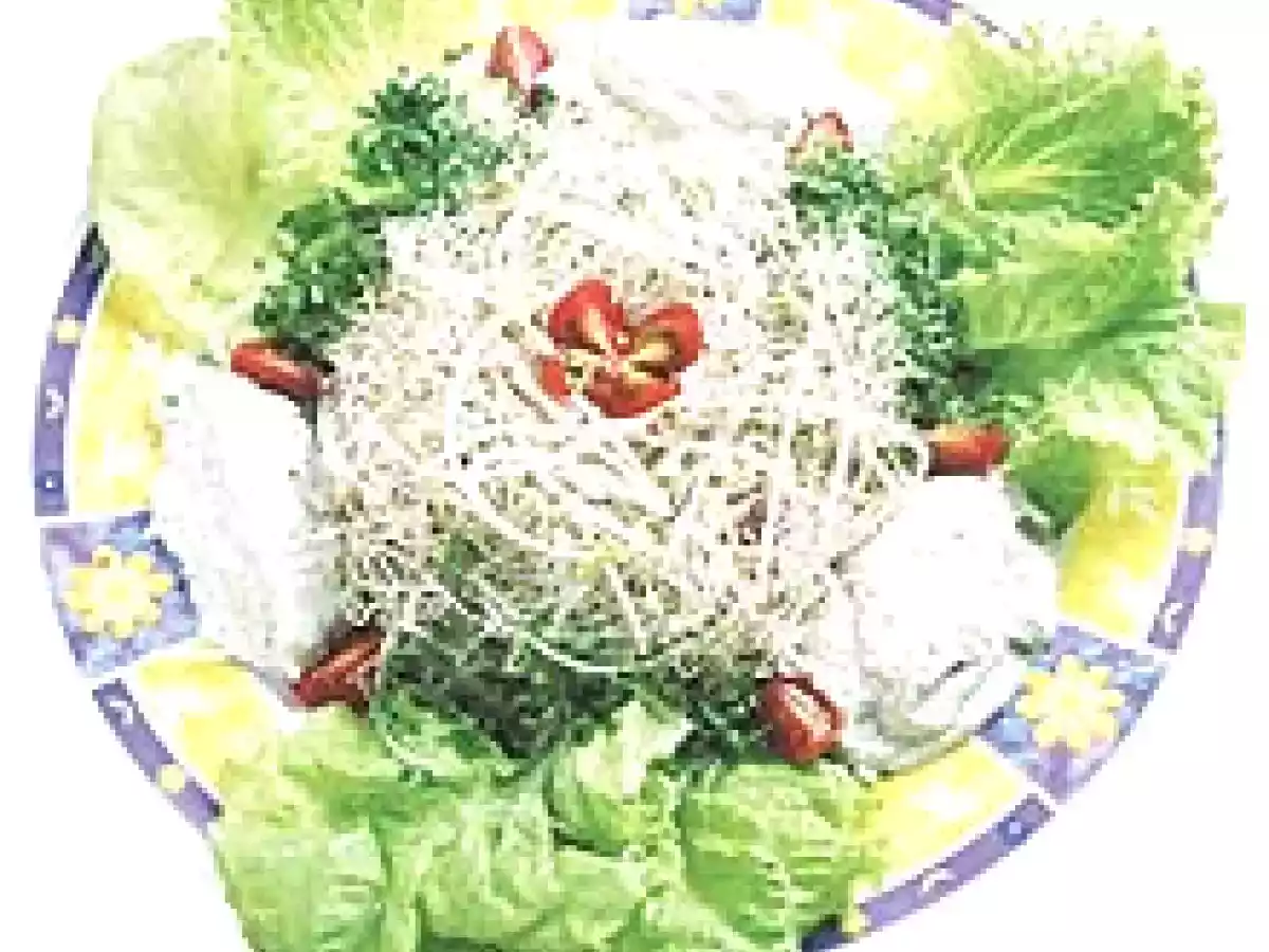 Salada de brotos com molho de tofu e hortelã