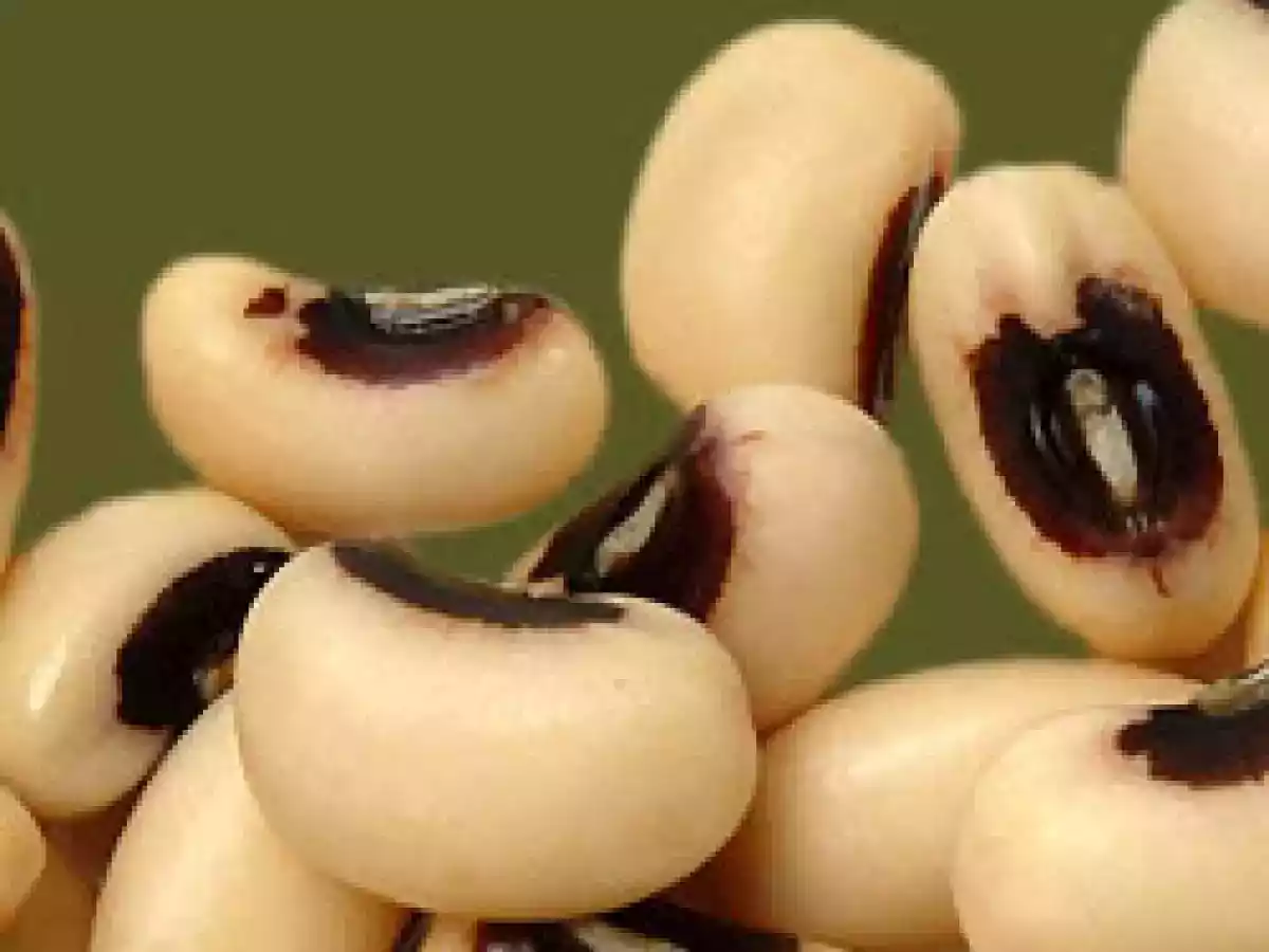 Salada de Feijão frade
