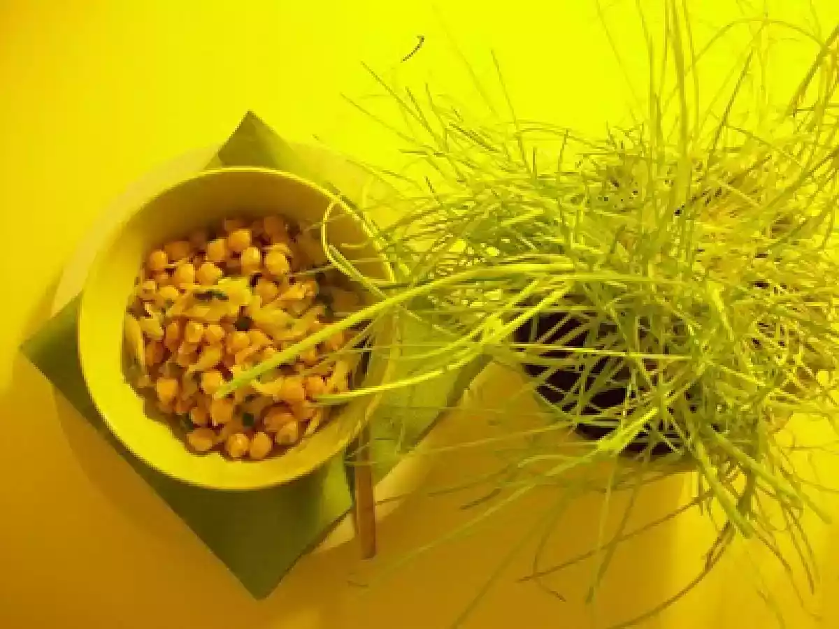 Salada de Grão-de-bico e bacalhau - foto 2