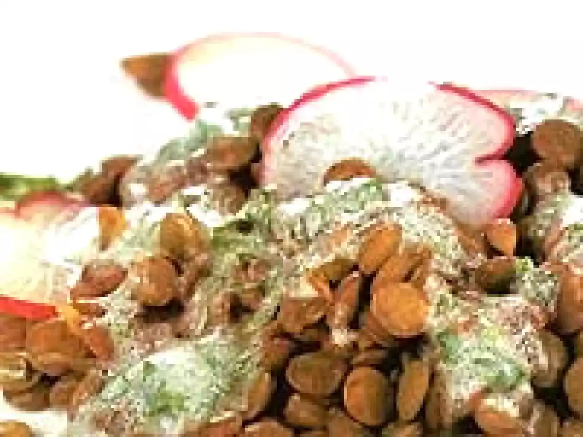 SALADA DE LENTILHA COM RABANETE E MOLHO DE IOGURTE