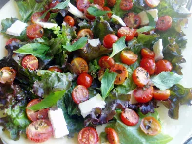 Salada de tomates com duas alfaces, brie e hortelã