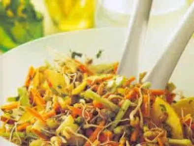 Salada Oriental de Brotos (vegana)
