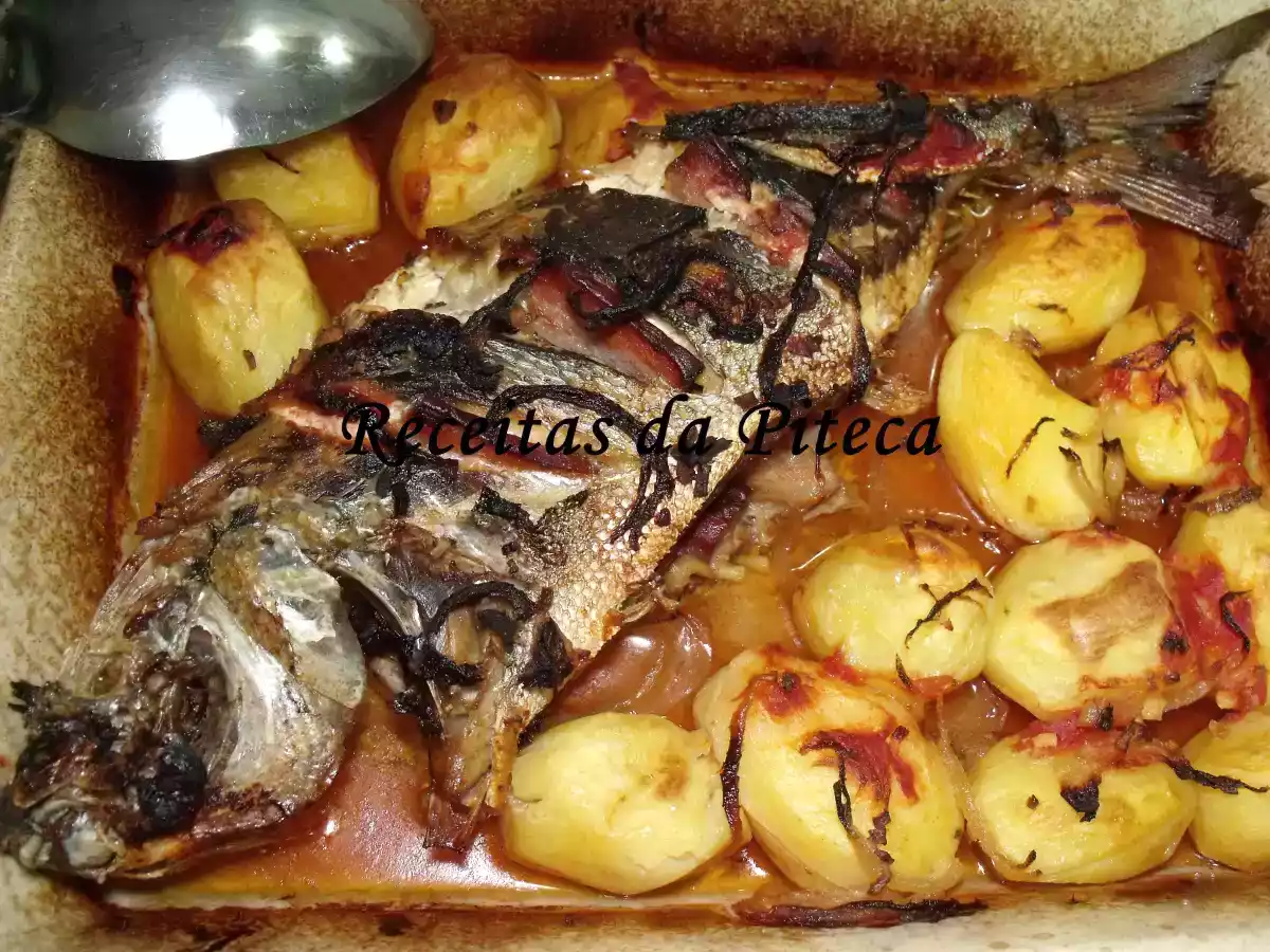Salema assada no forno