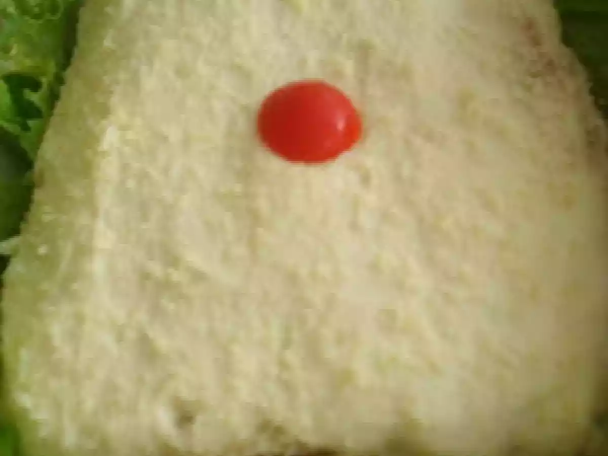 SALMAO AO MOLHO DE QUEIJO GORGONZOLA - foto 2