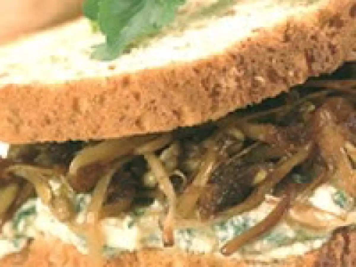 Sanduíche de Tofu com Broto de Feijão (vegana)