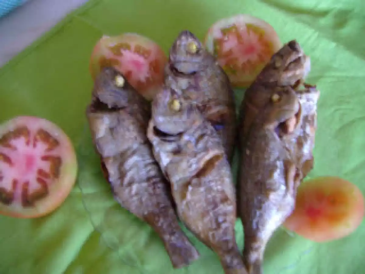 Sargos fritos