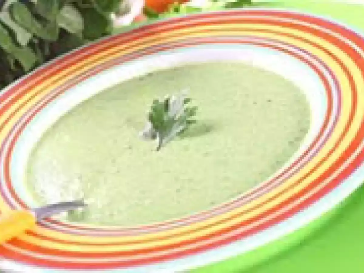 Sopa Creme de Vegetais (vegana)