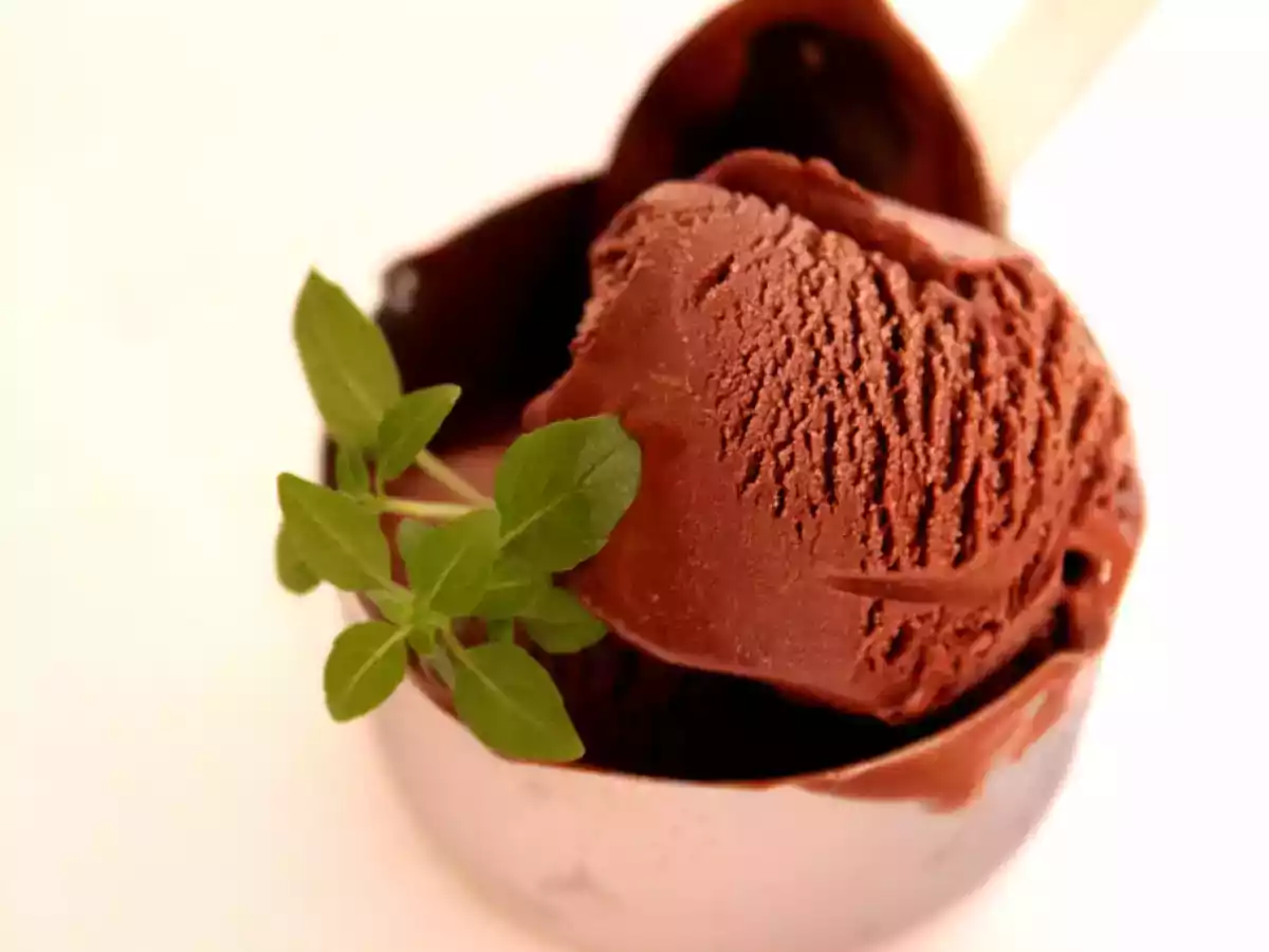 Sorbet de Chocolate