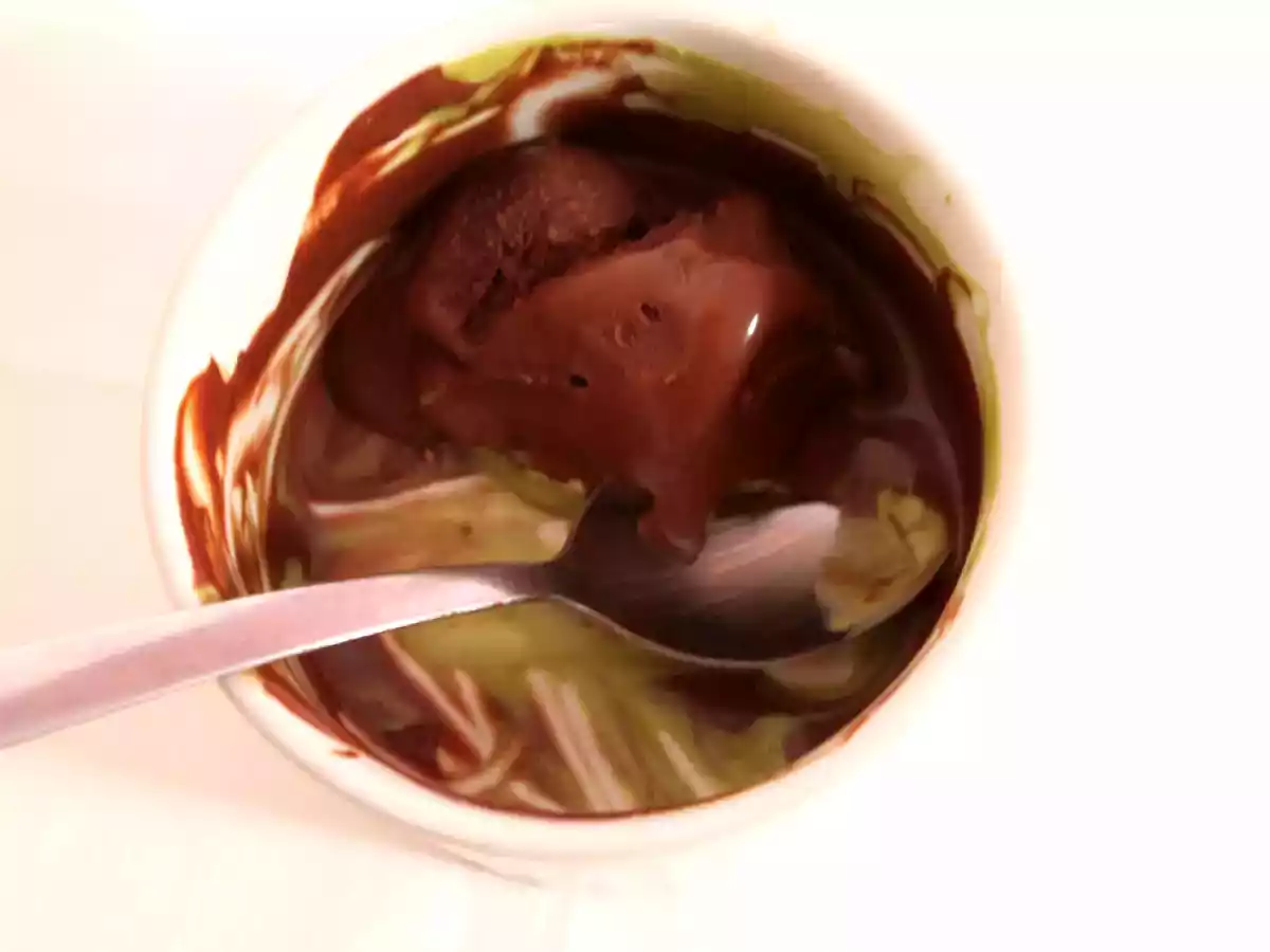 Sorbet de Chocolate - foto 2