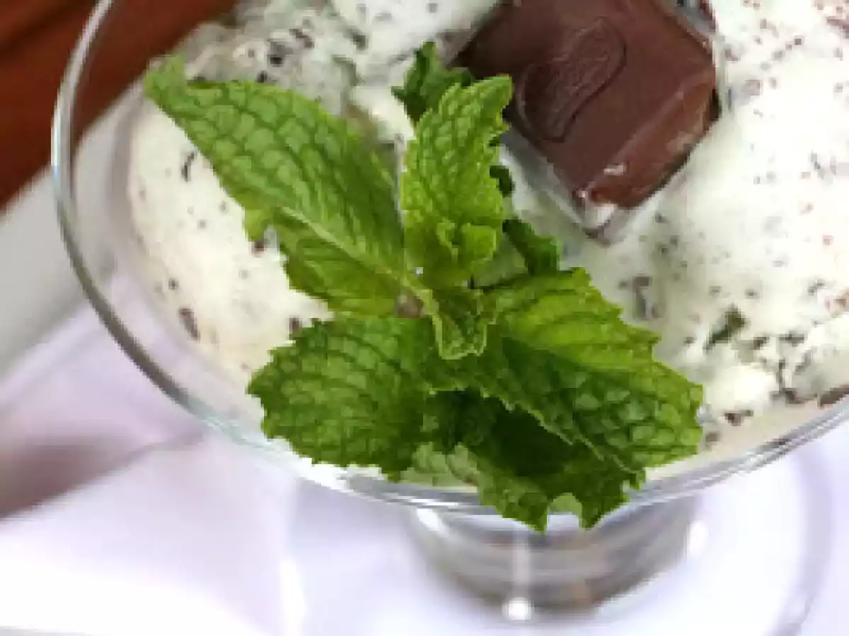 Sorvete de Menta e Chocolate - foto 3