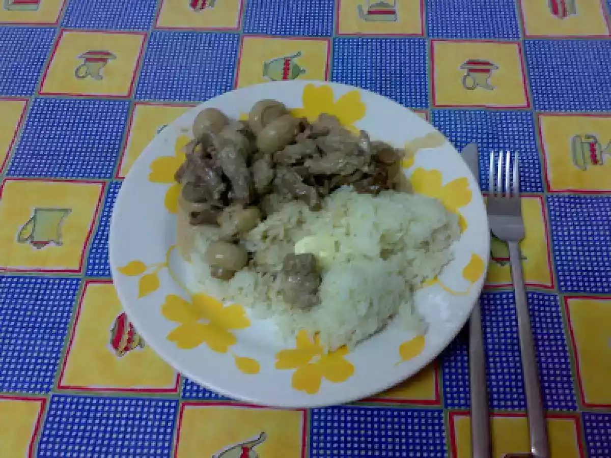 STROGONOFF NA ACTIFRY