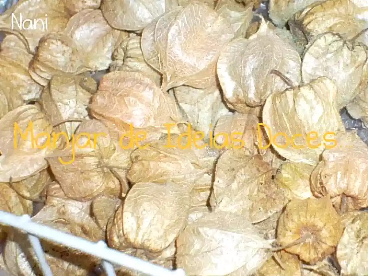Sumo de Uva Espinha (phisalis) e Laranja - foto 3