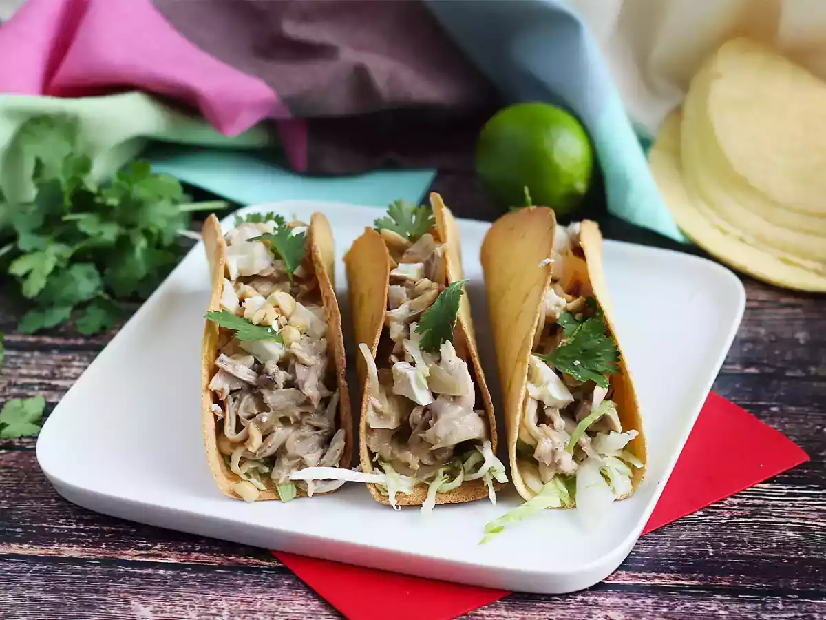 Tacos crocante com frango e molho satay