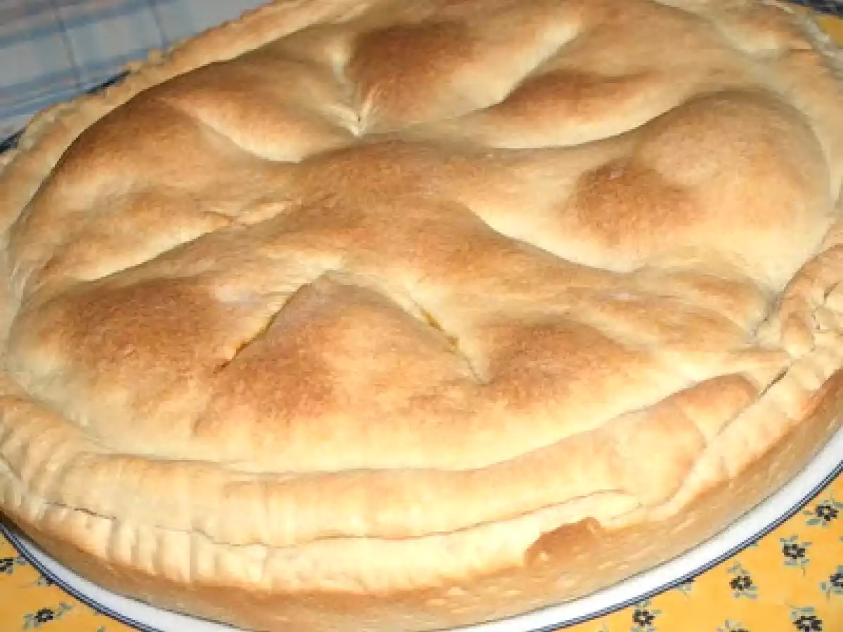 TARTE DE FRANGO COM MASSA DE KÉFIR