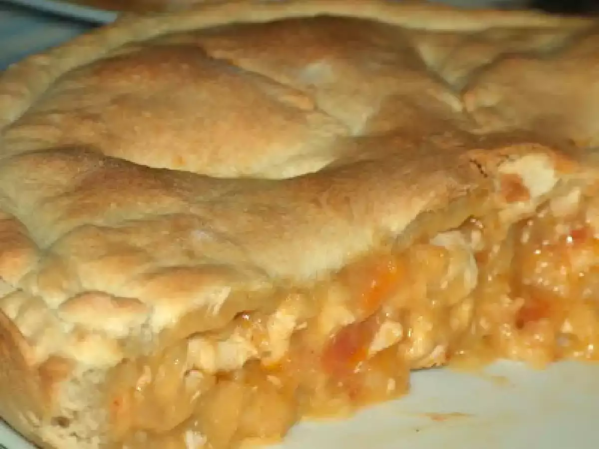 TARTE DE FRANGO COM MASSA DE KÉFIR - foto 5