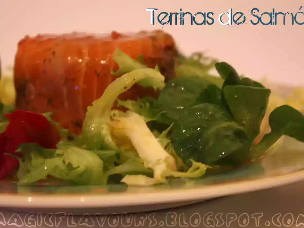 Terrinas de salmão - foto 4