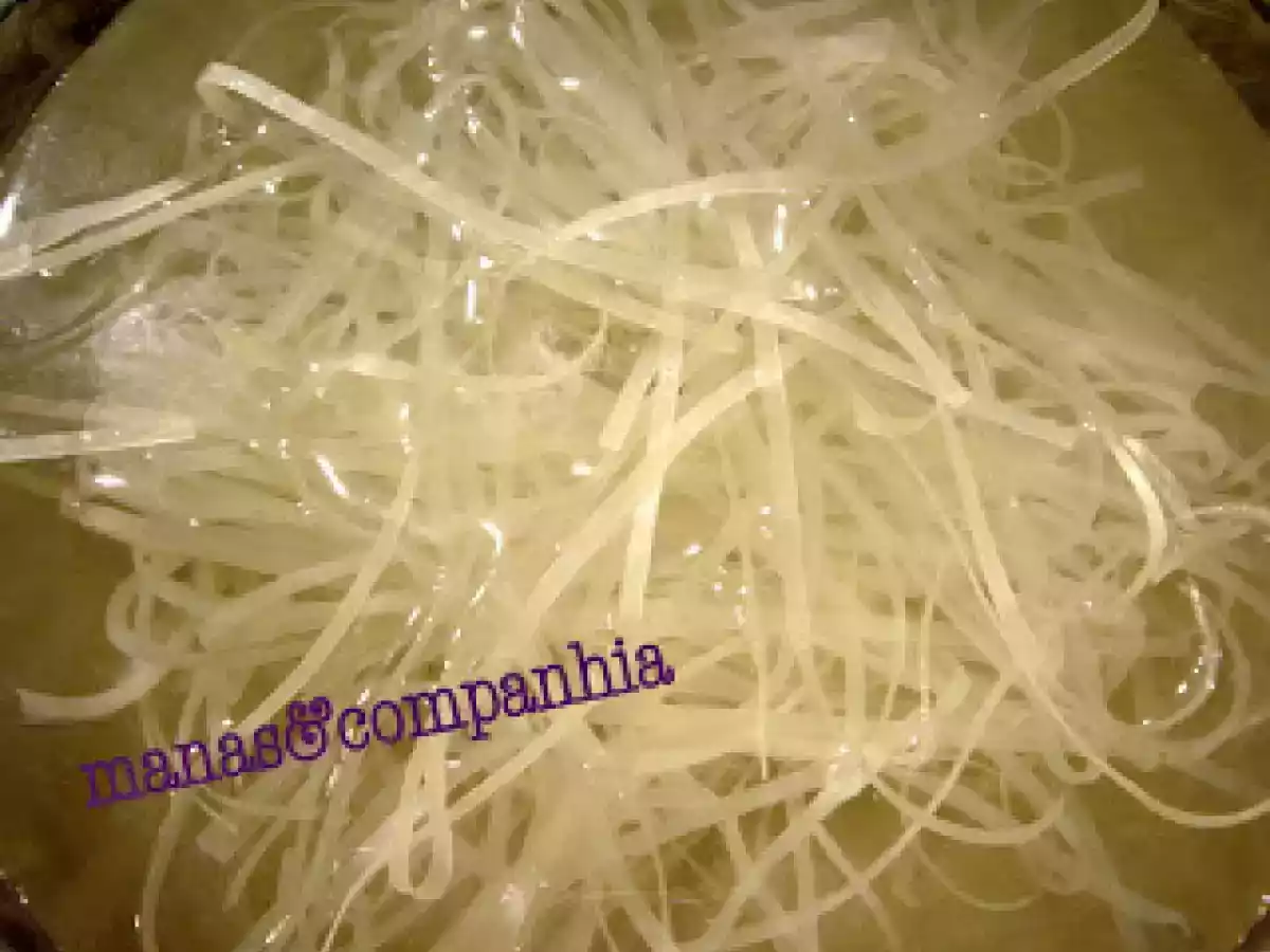 Tiras de peru com rebentos de soja e massa de arroz (isa) - foto 5