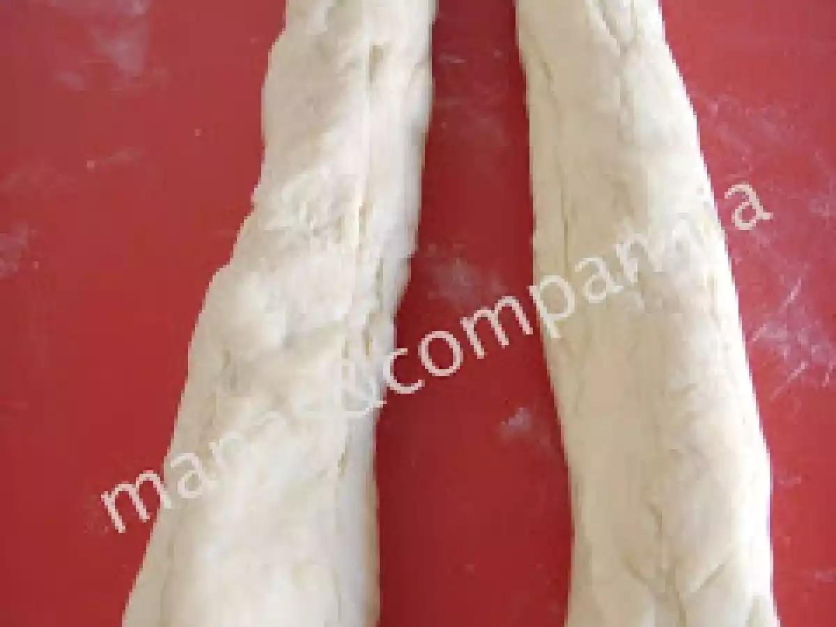 Tresse Suisse (isa) - foto 3