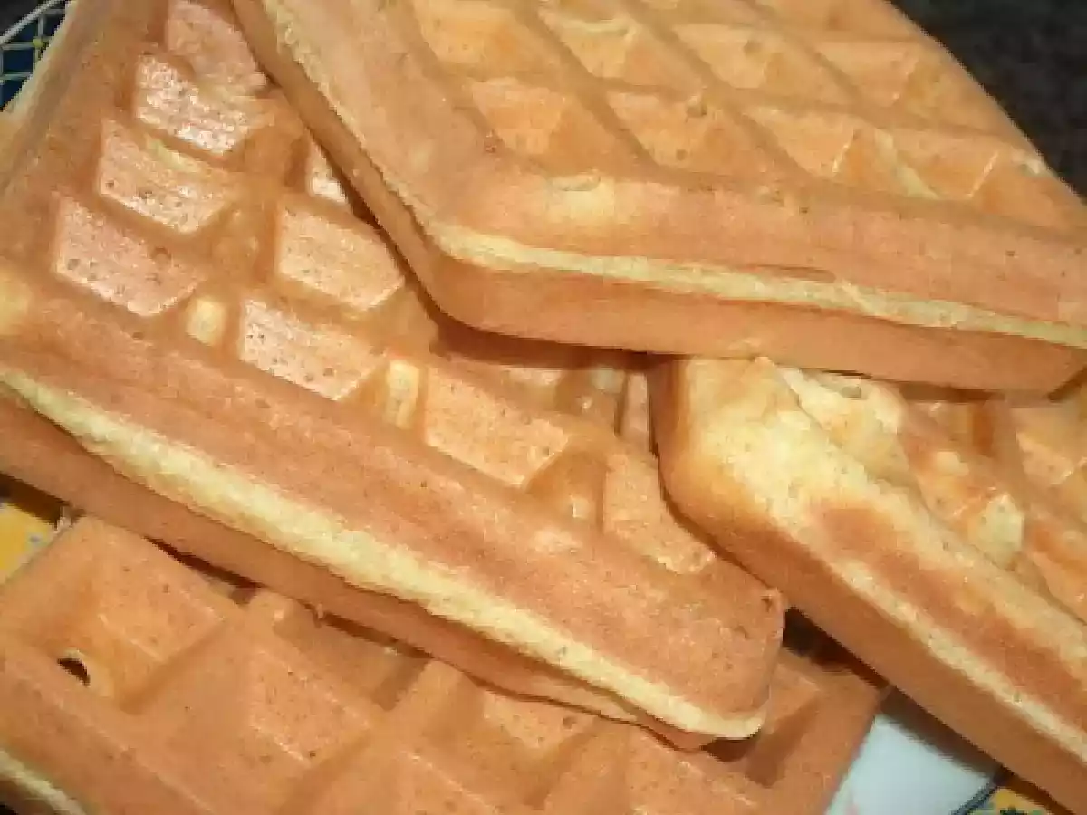 WAFFLES DE KÉFIR / IOGURTE