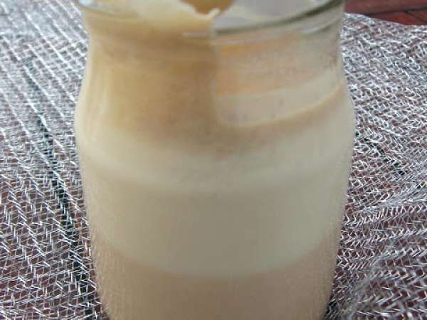 Yogurtes de Bolacha Maria
